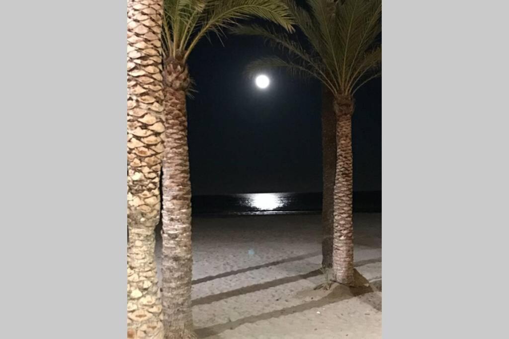 Jávea La Gaviota Apartment, In The Heart Of The Port מראה חיצוני תמונה